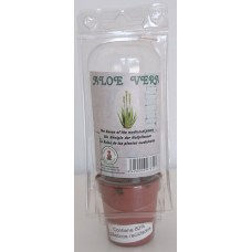 Cactus Canarias - Aloe Vera Pflanze mit Topf in Blisterpackung produziert auf Gran Canaria