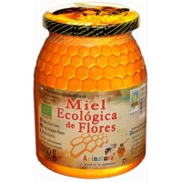 Apinatura - Miel Ecologica de Flores Bio-Blütenhonig 1kg Glas produziert auf Gran Canaria