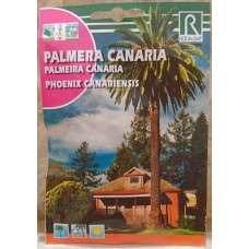 Rocalba - Palmera Canaria Semillas Samen der Kanarischen Dattelpalme Phoenix canariensis 10g