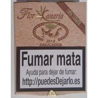 Flor de Canarias - Delicados 25+2 Zigarillos Holzschatulle produziert auf Teneriffa