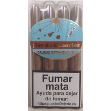 Flor de Canaria - Puros Tubular Calidad Extra Quality 4 Zigarren einzeln in Röhrchen verpackt produziert auf Teneriffa