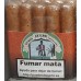 Puros Artesanos Julio - Puros Robustos Tableta 10 Zigarren produziert auf La Palma