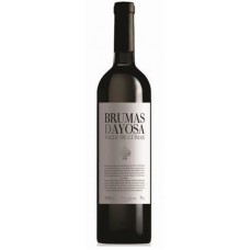 Brumas de Ayosa - Vino Tinto Rotwein 750ml produziert auf Teneriffa