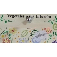 Vegetales para Infusion - Nogal Nussbaum 10g produziert auf Gran Canaria