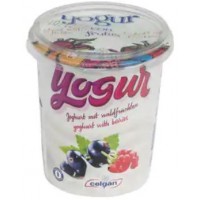Celgan - Yogur con frutas del bosque Waldfrüchte Bio Becher 400g produziert auf Teneriffa (Kühlware)