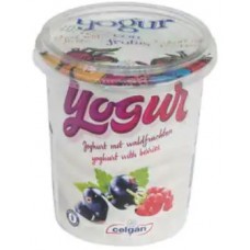 Celgan - Yogur con frutas del bosque Waldfrüchte Bio Becher 400g produziert auf Teneriffa (Kühlware)