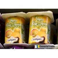 Celgan - Yogur Mango y Papaya 4x 125g Becher produziert auf Teneriffa (Kühlware)