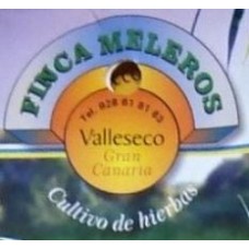Finca Meleros - Cana Limon - Zitronengras 20g produziert auf Gran Canaria