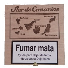 Flor de Canarias - Exquisitos 20 Zigarillos Holzschatulle produziert auf Teneriffa