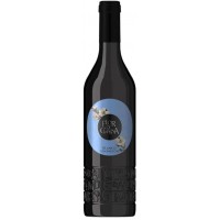 Cumbres de Abona - Flor de Chasna Blanco Sensacion Weißwein 11,5% Vol. 750ml produziert auf Teneriffa