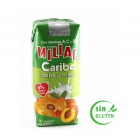 Millac - Caribe Leche y Frutas Fruchtmilch 200ml Tetrapack produziert auf Gran Canaria