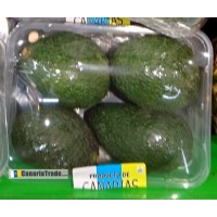 Aguacates Bandeja Avocados 4 Stück 800g eingeschweißt von Teneriffa