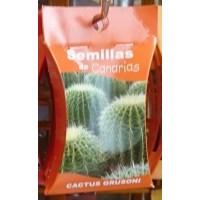 Semillas de Canarias - Cactus Grusoni Kakteen-Samen produziert auf Teneriffa