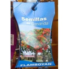 Semillas de Canarias - Flamboyan Samen produziert auf Teneriffa