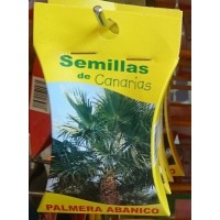 Semillas de Canarias - Palmera Abanico Samen produziert auf Teneriffa