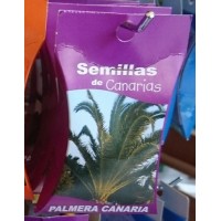 Semillas de Canarias - Palmera Canaria Samen produziert auf Teneriffa