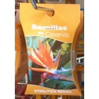 Semillas de Canarias - Strelitzia Regina Strelitzien Samen produziert auf Teneriffa