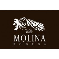 Valle Molina - Vino Tinto Tradicional Rotwein 750ml produziert auf Teneriffa
